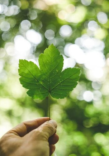 proyecto césped artificial cádiz